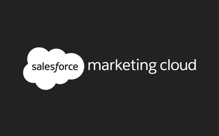 Salesforce consultant marketing crt exam